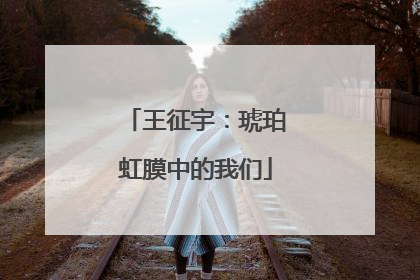 王征宇：琥珀虹膜中的我们