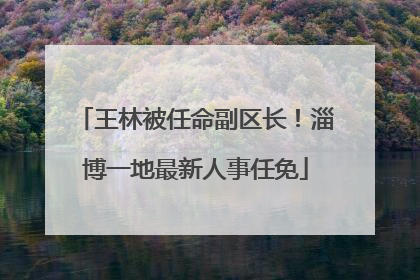 王林被任命副区长！淄博一地最新人事任免