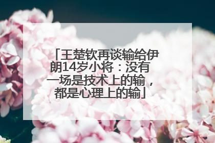 王楚钦再谈输给伊朗14岁小将：没有一场是技术上的输，都是心理上的输