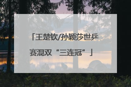 王楚钦/孙颖莎世乒赛混双“三连冠”