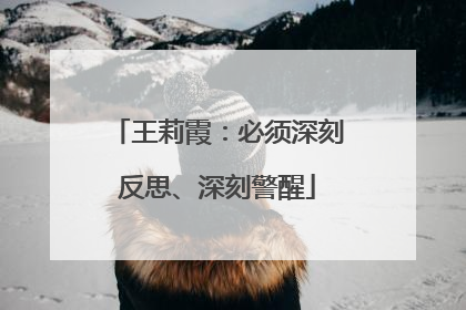 王莉霞：必须深刻反思、深刻警醒