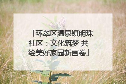环翠区温泉镇明珠社区：文化筑梦 共绘美好家园新画卷