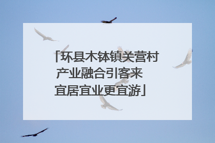 环县木钵镇关营村 产业融合引客来 宜居宜业更宜游