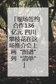 现场签约合作136亿元 四川攀枝花在这场推介会上画“图谱”列“清单”