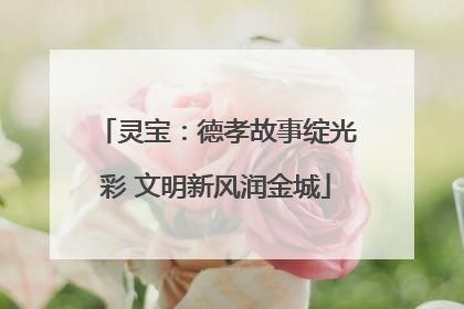 灵宝：德孝故事绽光彩 文明新风润金城