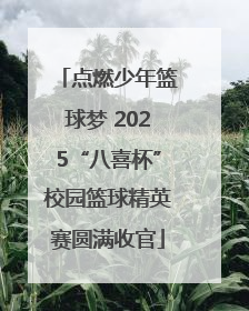 点燃少年篮球梦 2025“八喜杯”校园篮球精英赛圆满收官