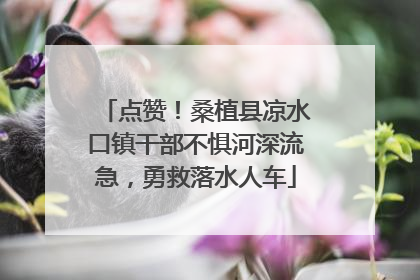 点赞！桑植县凉水口镇干部不惧河深流急，勇救落水人车