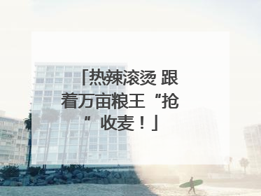热辣滚烫 跟着万亩粮王“抢”收麦！