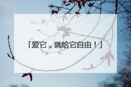 爱它，就给它自由！