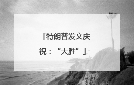 特朗普发文庆祝：“大胜”