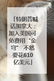特朗普喊话加拿大：加入美国可免费用“金穹” 不然要花610亿美元