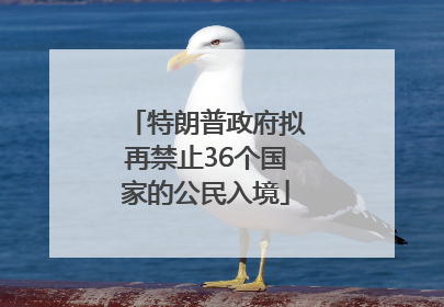 特朗普政府拟再禁止36个国家的公民入境