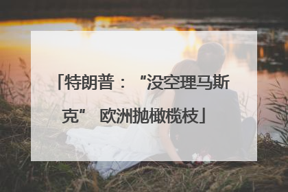 特朗普：“没空理马斯克” 欧洲抛橄榄枝