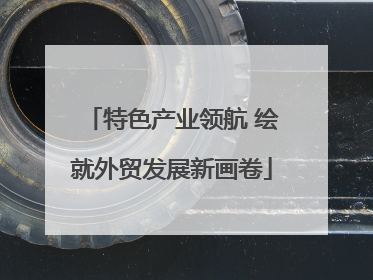 特色产业领航 绘就外贸发展新画卷