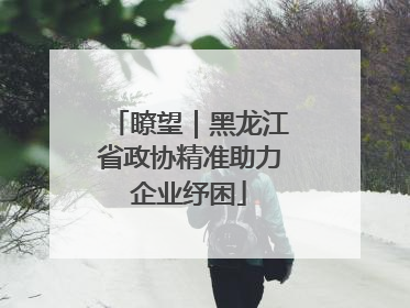 瞭望｜黑龙江省政协精准助力企业纾困