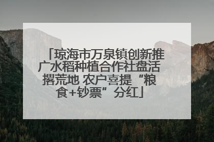 琼海市万泉镇创新推广水稻种植合作社盘活撂荒地 农户喜提“粮食+钞票”分红