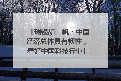 瑞银胡一帆：中国经济总体具有韧性，看好中国科技行业