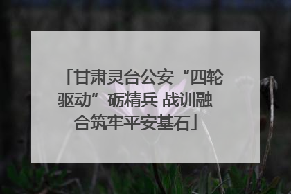 甘肃灵台公安“四轮驱动”砺精兵 战训融合筑牢平安基石