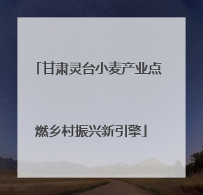 甘肃灵台小麦产业点燃乡村振兴新引擎