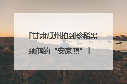 甘肃瓜州拍到珍稀黑颈鹤的“安家照”
