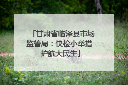 甘肃省临泽县市场监管局：快检小举措 护航大民生