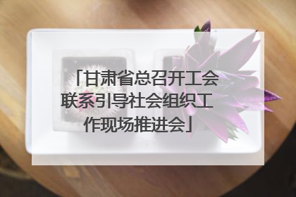 甘肃省总召开工会联系引导社会组织工作现场推进会