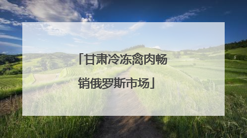 甘肃冷冻禽肉畅销俄罗斯市场