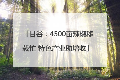 甘谷：4500亩辣椒移栽忙 特色产业助增收