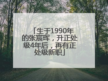 生于1990年的张宸珲，升正处级4年后，再有正处级新职