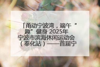 甬动宁波湾，端午“趣”健身 2025年宁波市滨海休闲运动会（奉化站）——首届宁波湾海洋运动会盛