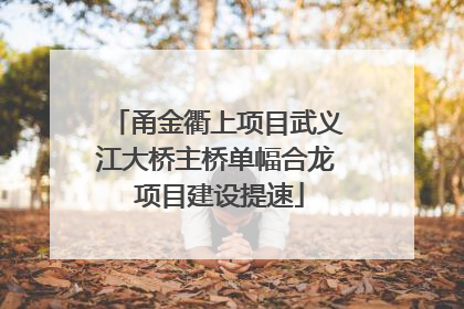 甬金衢上项目武义江大桥主桥单幅合龙 项目建设提速