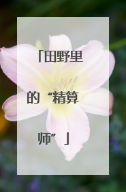 田野里的“精算师”