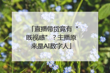 直播带货竟有“既视感”？主播原来是AI数字人