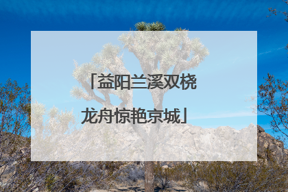 益阳兰溪双桡龙舟惊艳京城