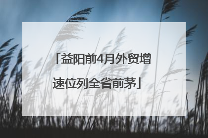 益阳前4月外贸增速位列全省前茅