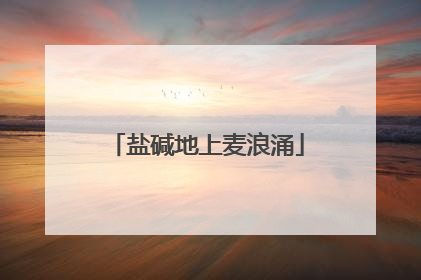 盐碱地上麦浪涌