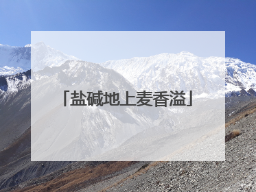 盐碱地上麦香溢