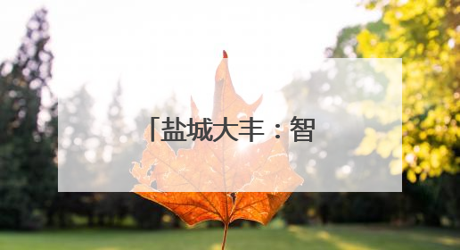 盐城大丰：智能化烘干助力小麦颗粒归仓