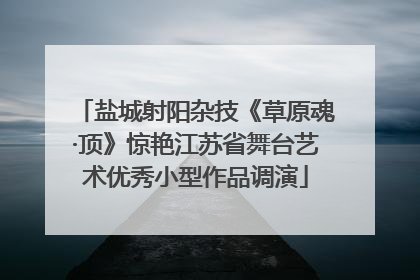 盐城射阳杂技《草原魂·顶》惊艳江苏省舞台艺术优秀小型作品调演