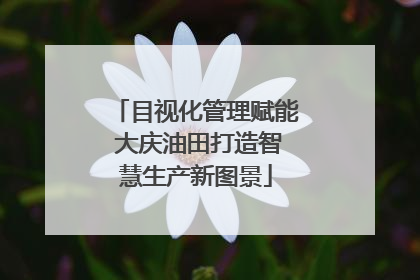目视化管理赋能 大庆油田打造智慧生产新图景