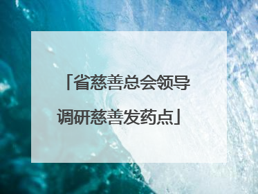 省慈善总会领导调研慈善发药点