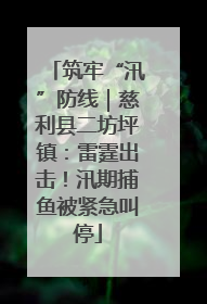 筑牢“汛”防线｜慈利县二坊坪镇：雷霆出击！汛期捕鱼被紧急叫停