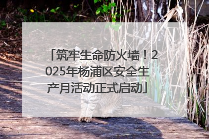 筑牢生命防火墙！2025年杨浦区安全生产月活动正式启动