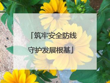 筑牢安全防线 守护发展根基