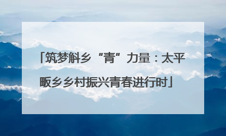 筑梦斛乡“青”力量：太平畈乡乡村振兴青春进行时