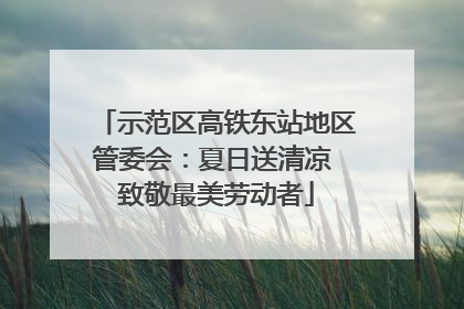 示范区高铁东站地区管委会：夏日送清凉 致敬最美劳动者