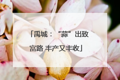 禹城：“蒜”出致富路 丰产又丰收