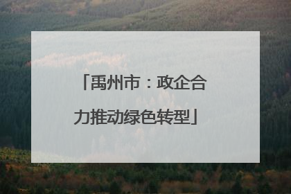 禹州市：政企合力推动绿色转型