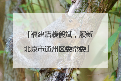 福建籍赖毅斌，履新北京市通州区委常委