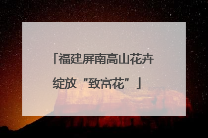 福建屏南高山花卉绽放“致富花”